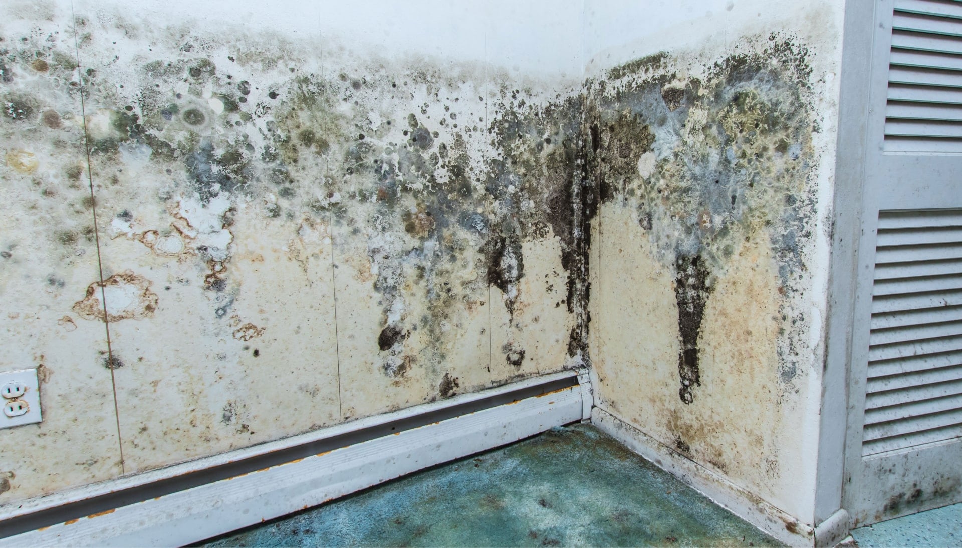 Professional mold removal, odor control, and water damage restoration service in Madison, Wisconsin.