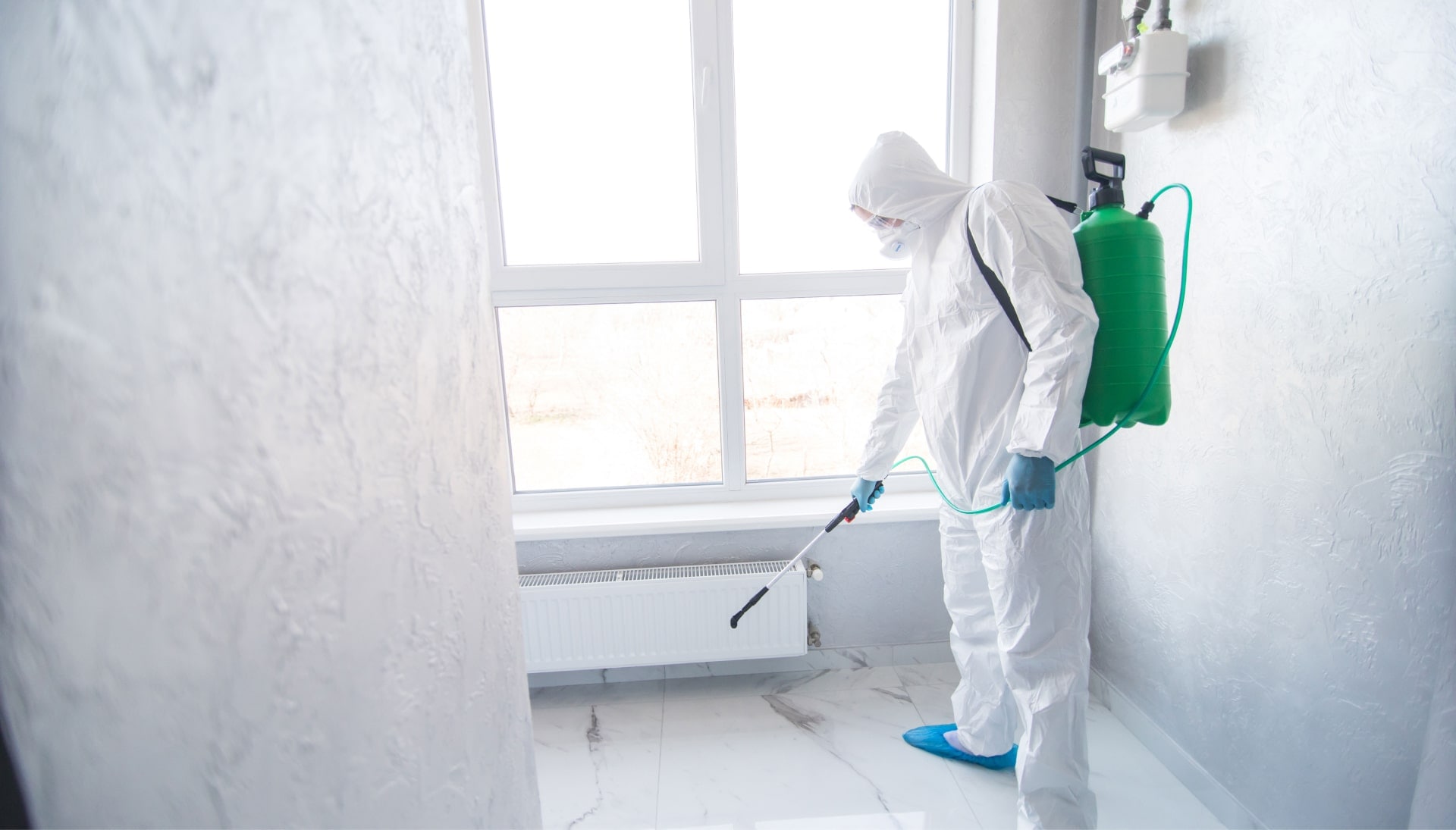 We provide the highest-quality mold inspection, testing, and removal services in the Madison, Wisconsin area.